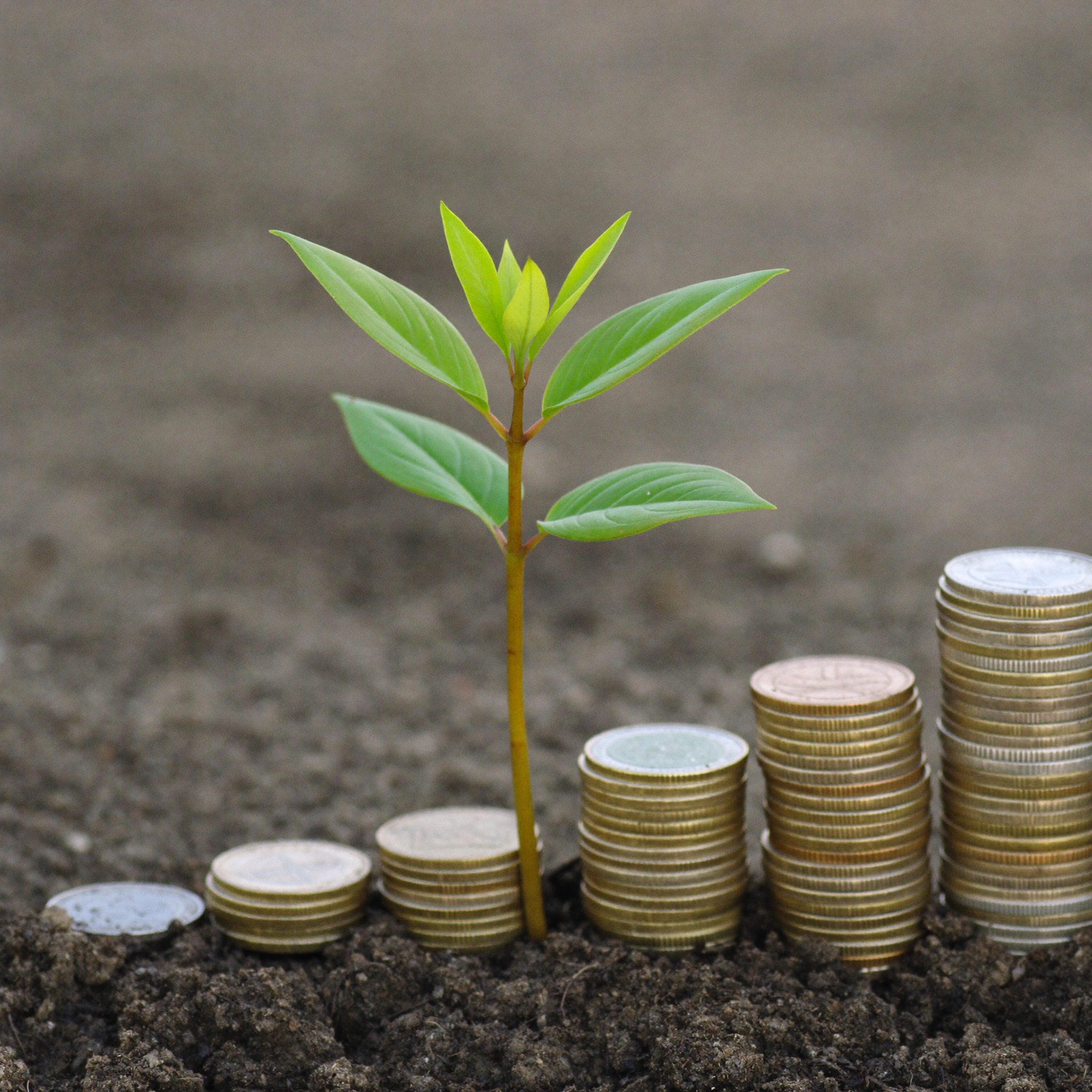 Conceptual image of financial growth and planning